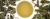 6c0a8700689f29ba663684186de091ba