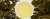 e5ba790cb10c402abe209dd3292f9091