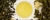 47063717c0fd7932123b0d44acb90ffa