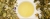 bbd89e6be943e218787a8375bef8a72a