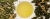 edb031c87a558de8d4c1c521701fe4a4