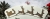 b6390d61b2ca36855b02baa9a6efa96e
