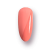 146