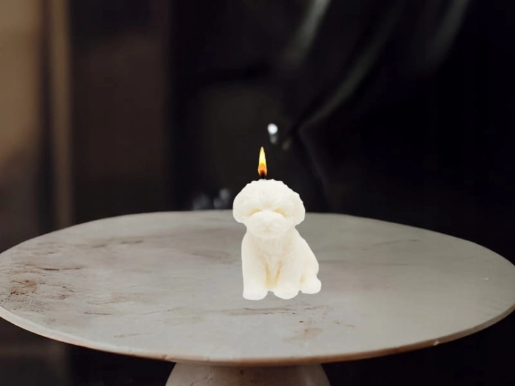 a0dfbbe5a07350adae10540a7a774706
